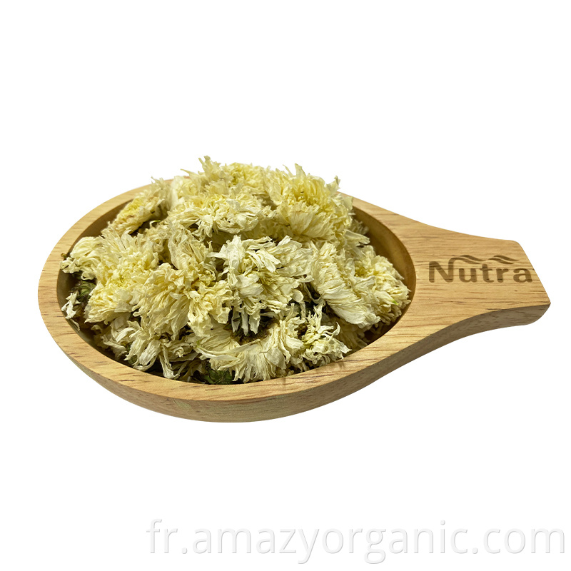 Chrysanthemum yellow